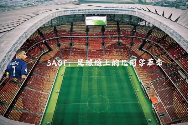SAOT:足球场上的几何学革命