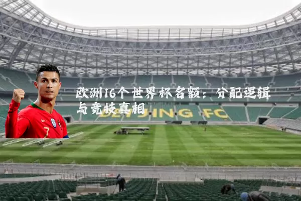 欧洲16个世界杯名额：分配逻辑与竞技真相